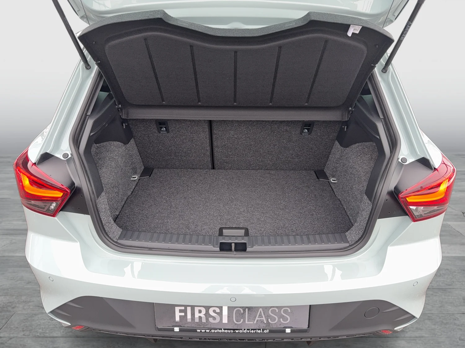 Bild eines Ibiza Style Edition 1.0 TSI 95PS