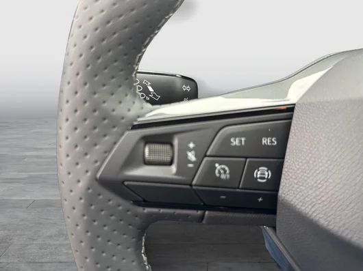 Bild eines Ibiza Style Edition 1.0 TSI 95PS