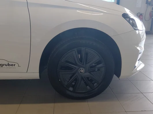 Bild eines Fabia Selection TSI