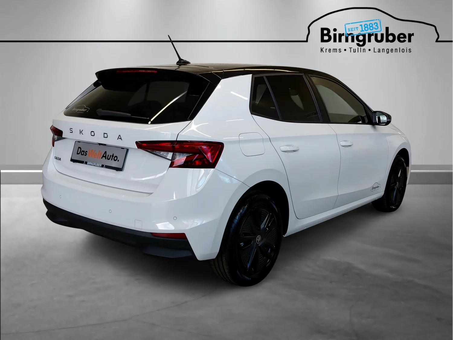 Bild eines Fabia Selection TSI