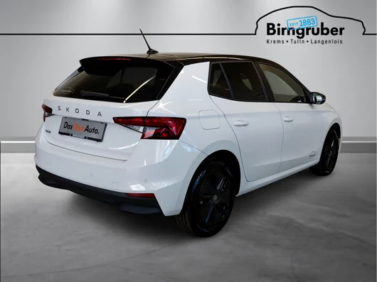 Bild eines Fabia Selection TSI
