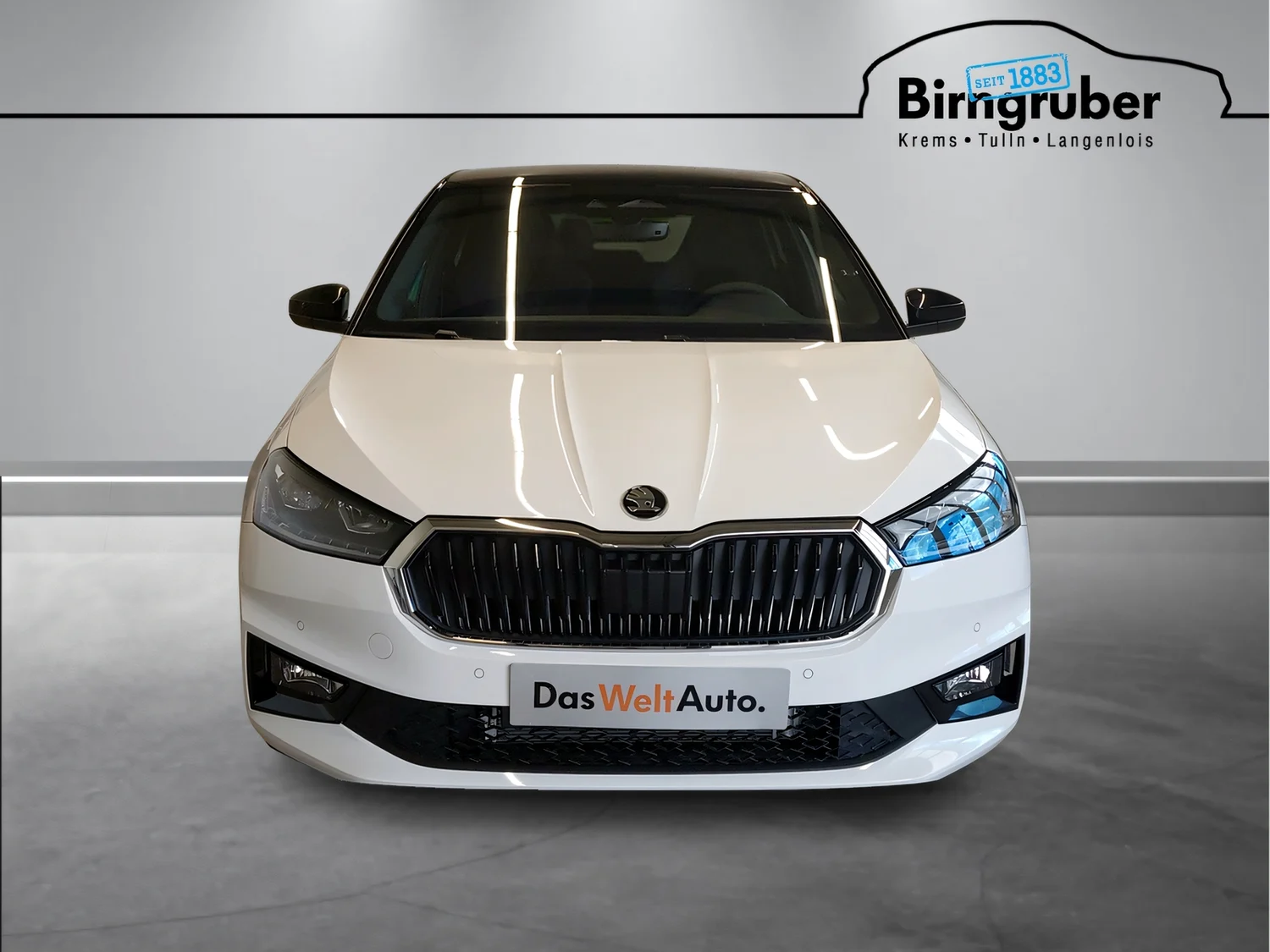 Bild eines Fabia Selection TSI