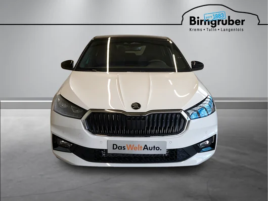 Bild eines Fabia Selection TSI