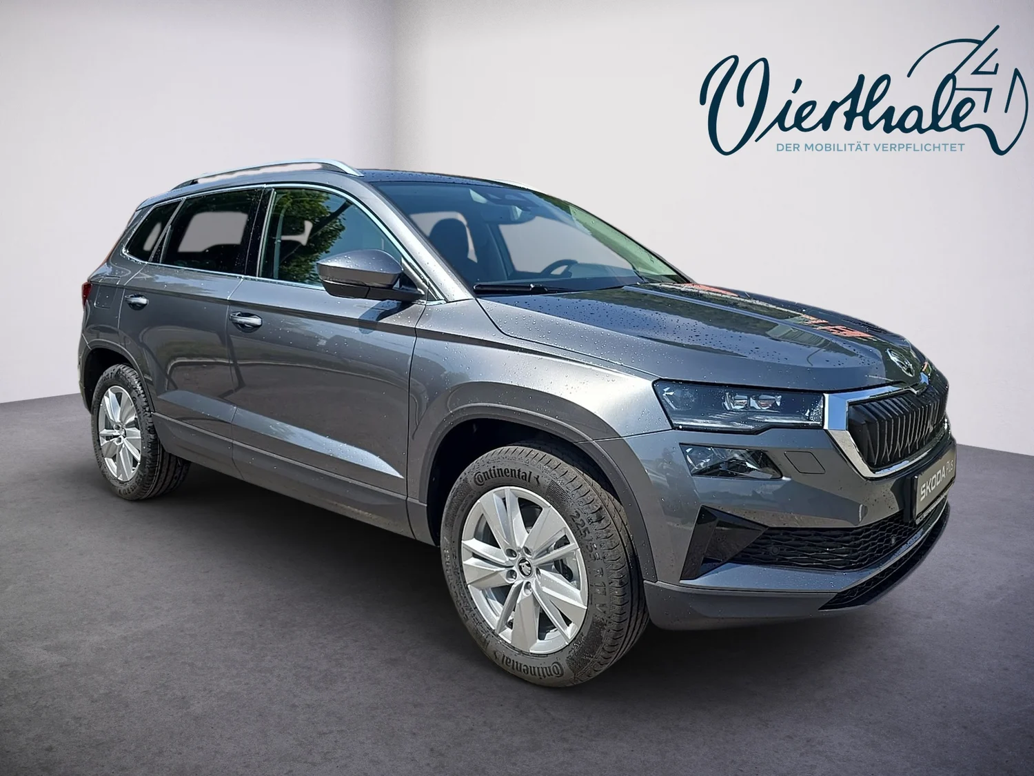 Bild eines Škoda Karoq 4x4 Selection TDI DSG