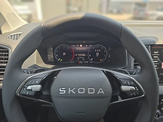 Bild eines Škoda Karoq 4x4 Selection TDI DSG