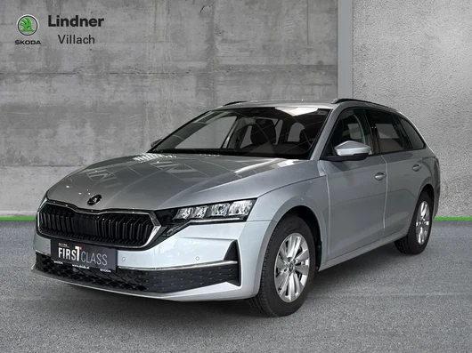 Bild eines Octavia Combi Selection TDI DSG