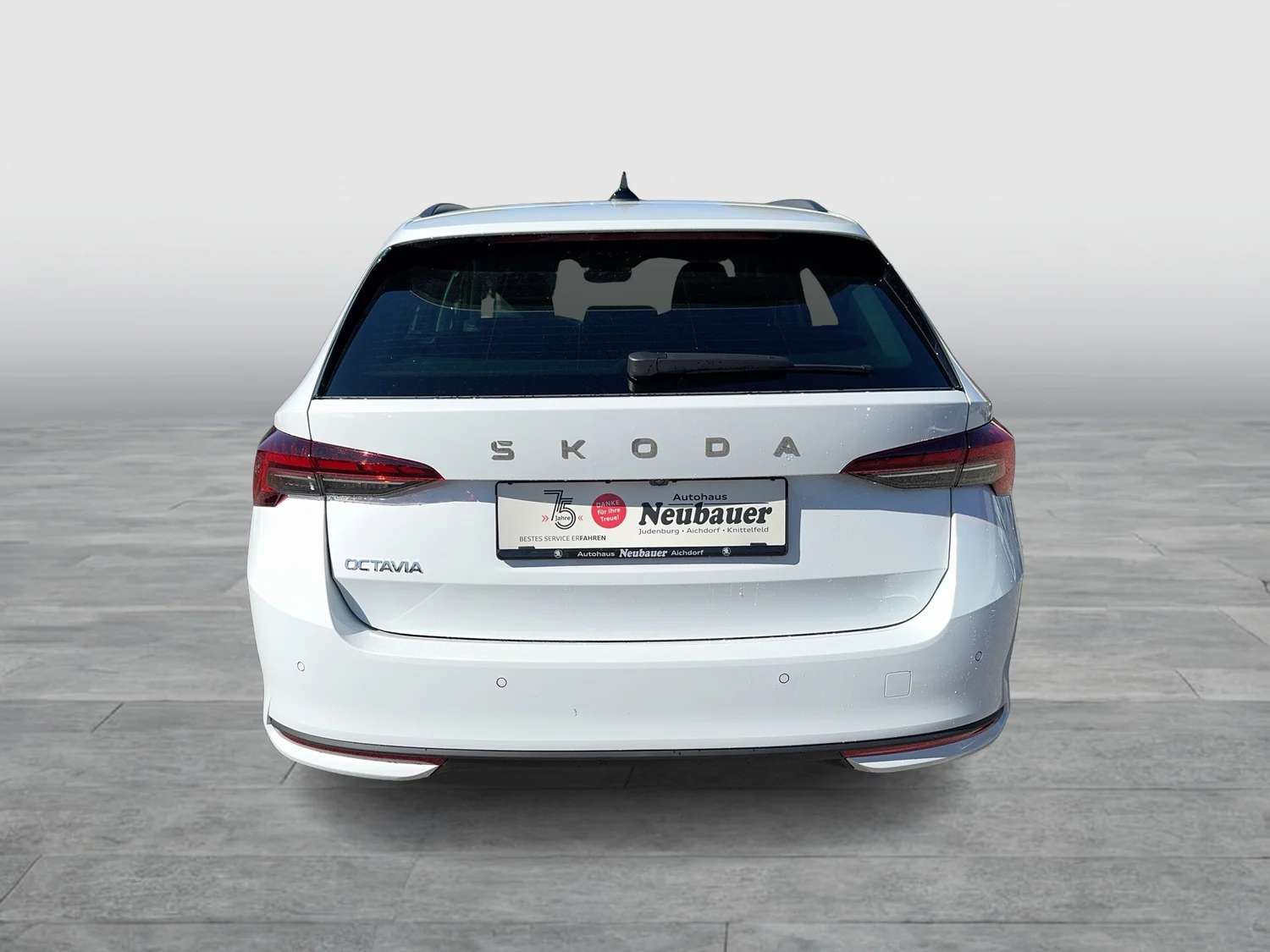 Bild eines Octavia Combi Selection TDI DSG