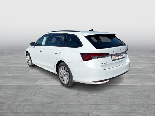 Bild eines Octavia Combi Selection TDI DSG