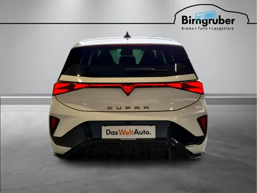 Bild eines Born ENDURANCE 79/84 170kW/231PS