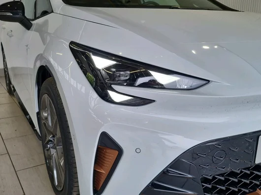 Bild eines Born ENDURANCE 79/84 170kW/231PS