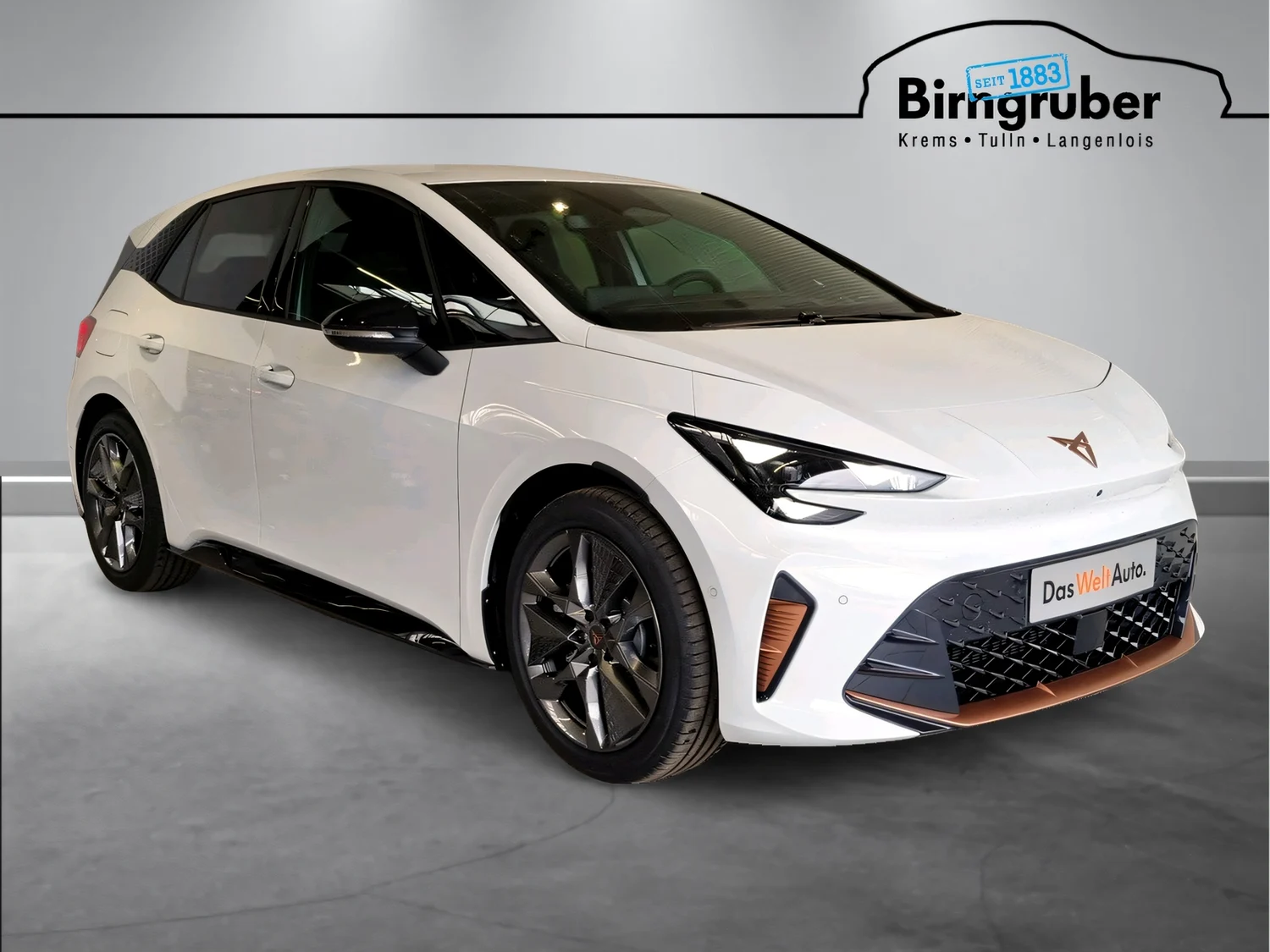 Bild eines Born ENDURANCE 79/84 170kW/231PS