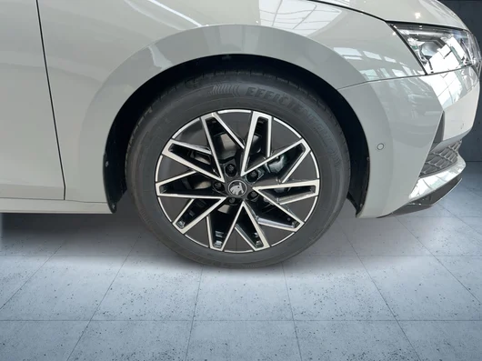 Bild eines Octavia Combi Sportline TSI mHEV DSG