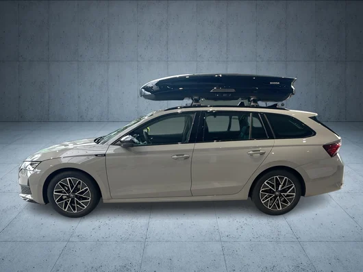 Bild eines Octavia Combi Sportline TSI mHEV DSG