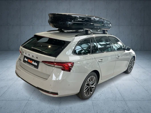 Bild eines Octavia Combi Sportline TSI mHEV DSG