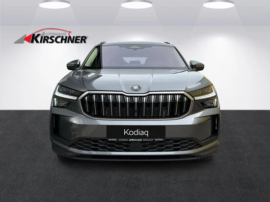 Bild eines Kodiaq Selection TDI DSG