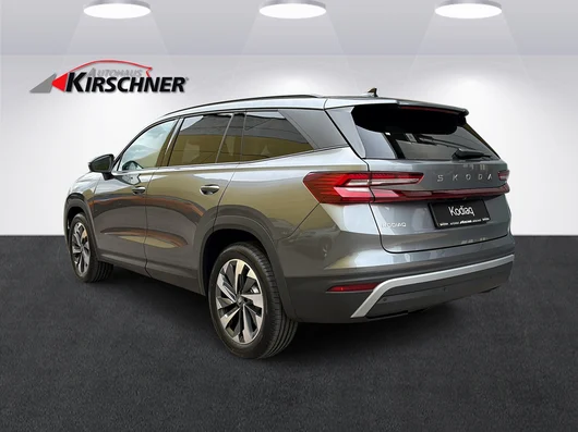 Bild eines Kodiaq Selection TDI DSG