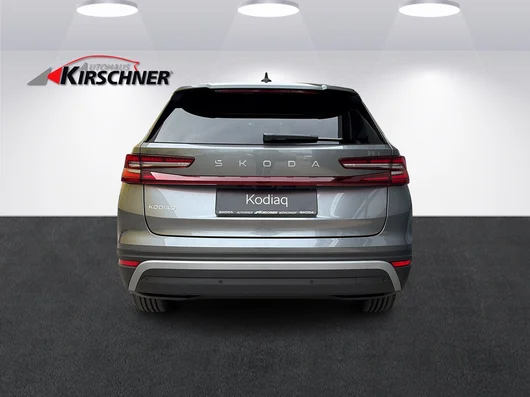 Bild eines Kodiaq Selection TDI DSG