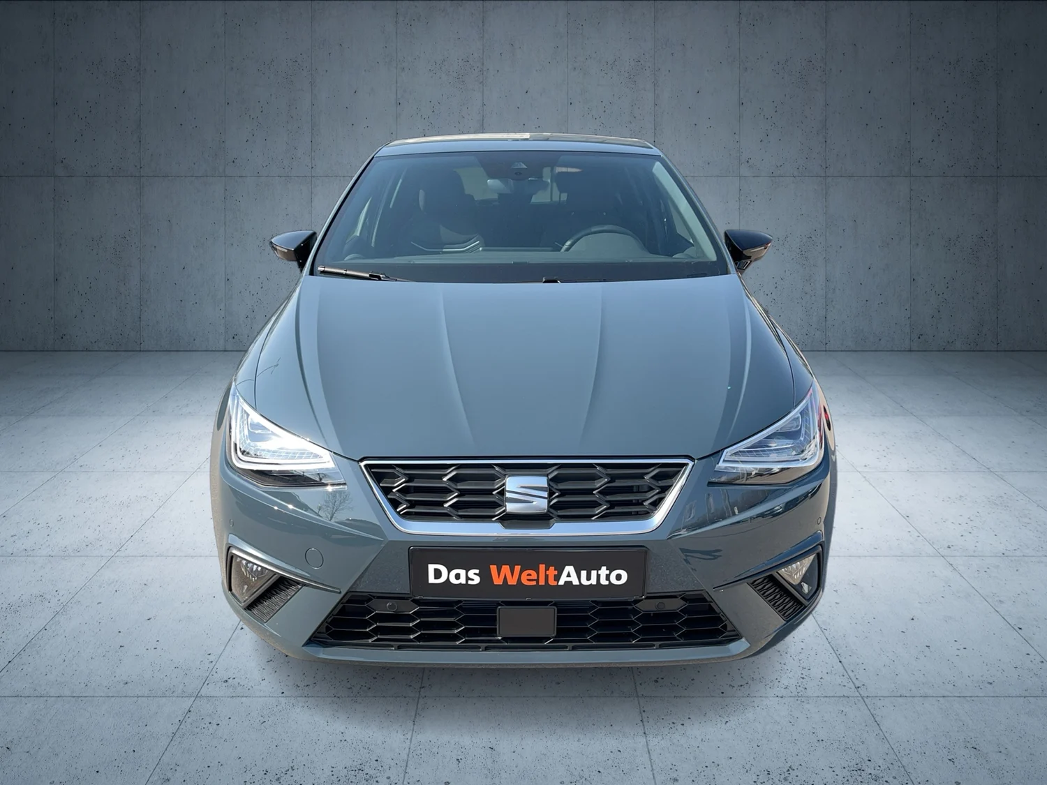 Bild eines Ibiza FR Edition 1.0 TSI