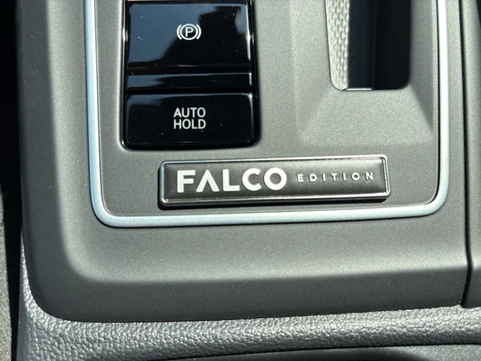 Bild eines VW Golf Falco Edition mHEV DSG