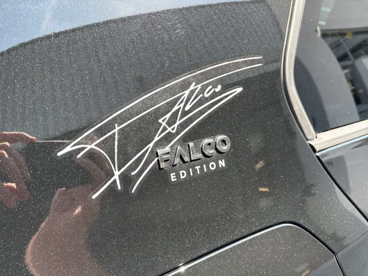 Bild eines VW Golf Falco Edition mHEV DSG