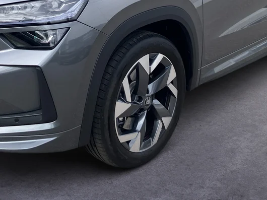 Bild eines Škoda Kodiaq 4x4 Sportline TDI DSG