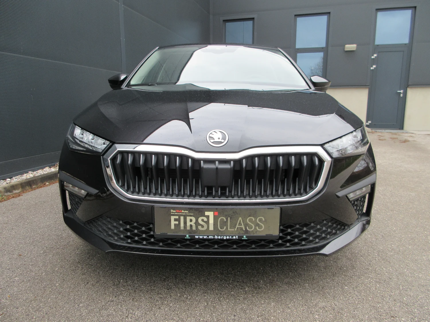 Bild eines Scala Selection TSI DSG