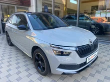 Škoda Kamiq MONTE CARLO TSI in Stahl-Grau