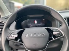 Škoda Karoq 4x4 Selection TDI DSG in Graphit-Grau Metallic