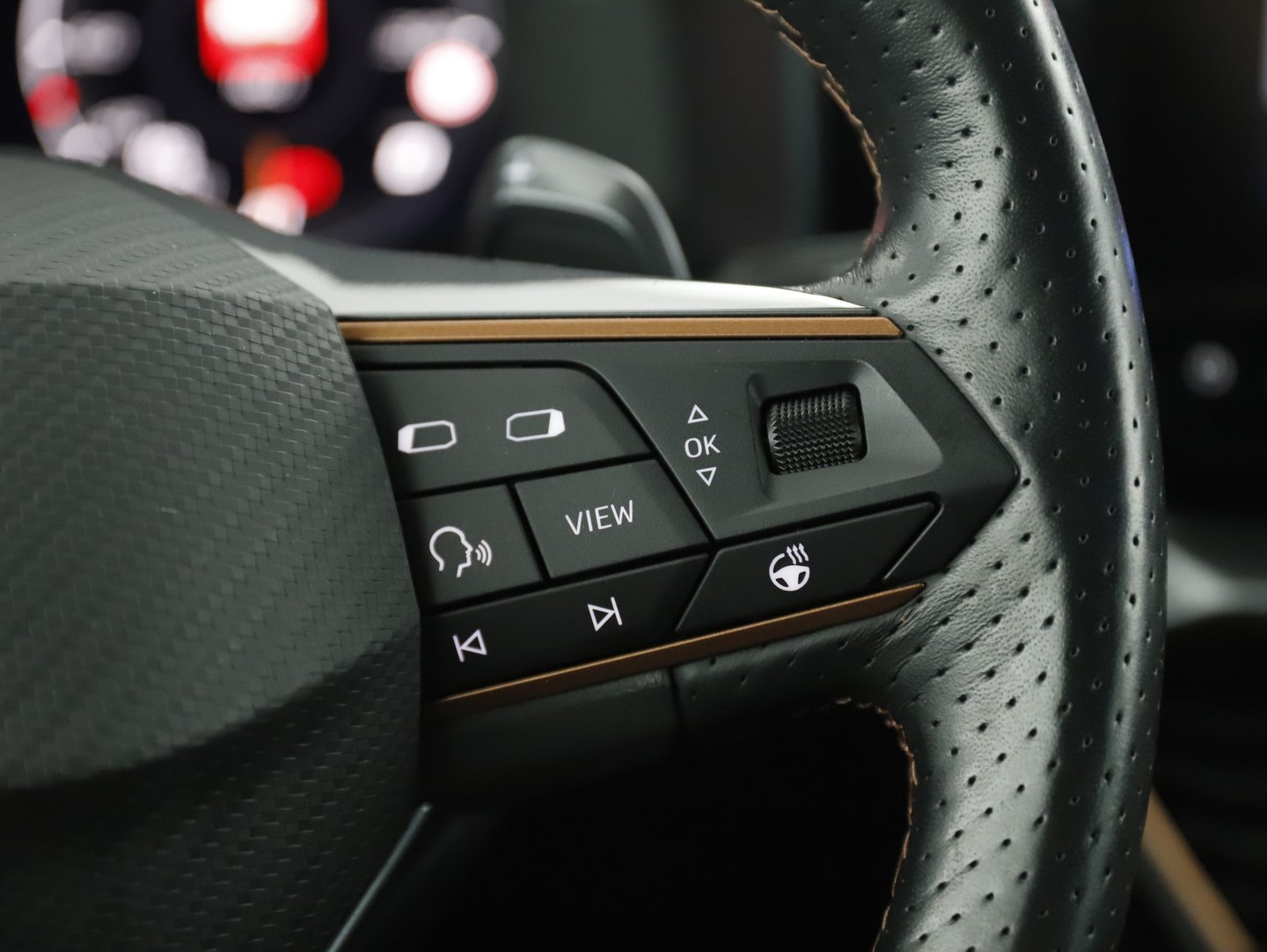 CUPRA Formentor 2,0 TDI 4Drive Cupra DSG | Bild 12 von 21