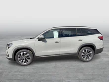 Škoda Kodiaq 4x4 Selection TDI DSG in Stahl-Grau