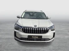 Škoda Kodiaq 4x4 Selection TDI DSG in Stahl-Grau