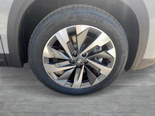Škoda Kodiaq 4x4 Selection TDI DSG in Stahl-Grau