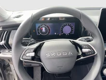 Škoda Kodiaq 4x4 Selection TDI DSG in Stahl-Grau