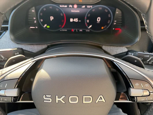 Bild eines Škoda Kamiq Selection TSI DSG
