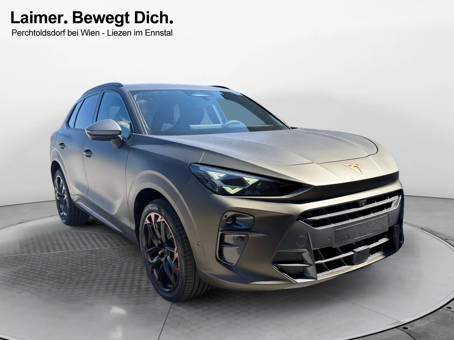 Bild eines Terramar e-HYBRID 204 PS DSG