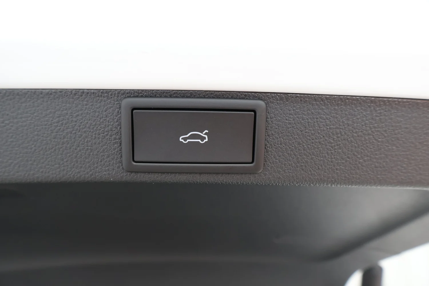 Bild eines Octavia Combi RS