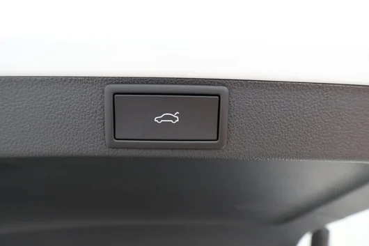 Bild eines Octavia Combi RS