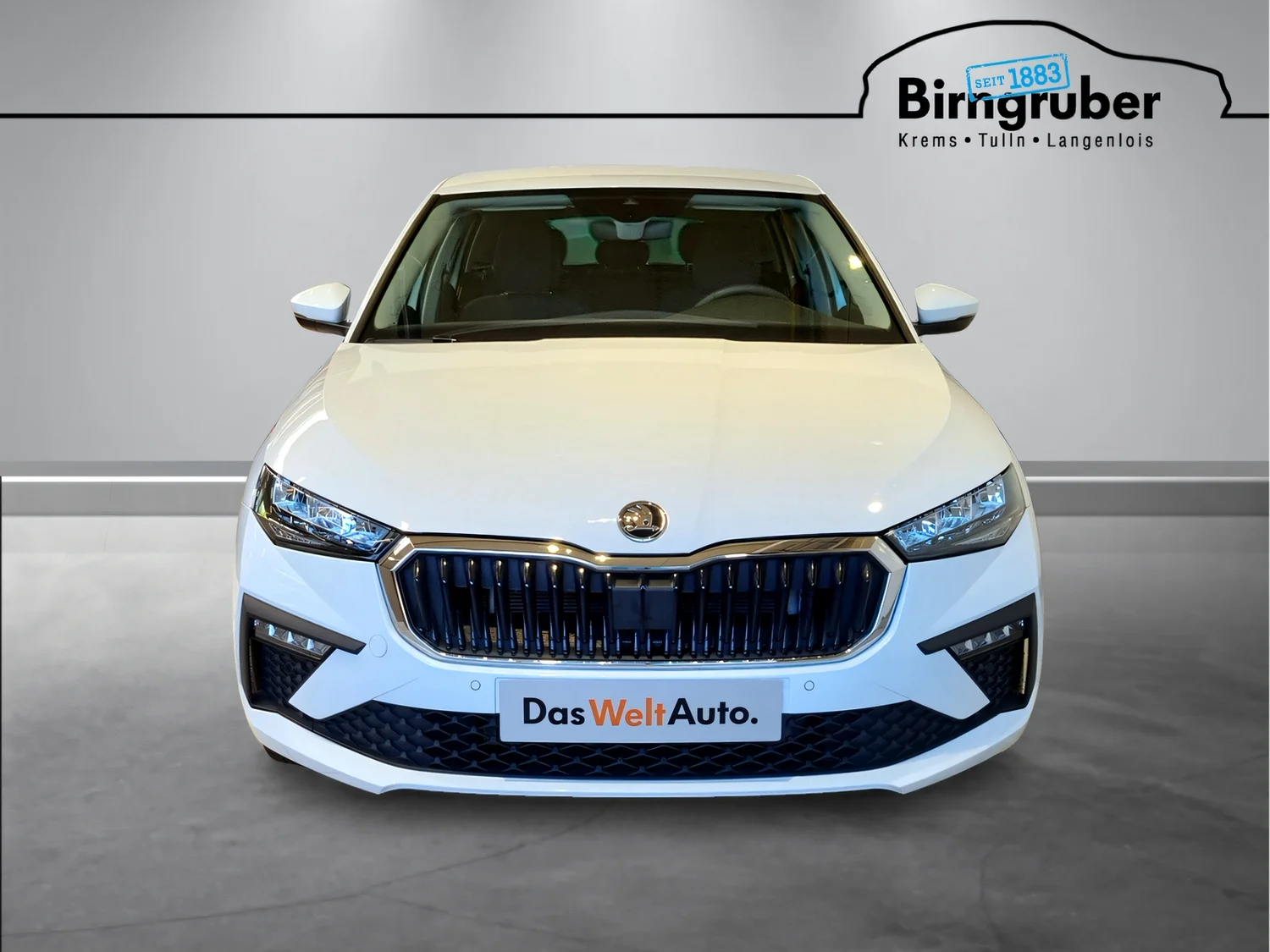 Bild eines Scala Selection TSI DSG