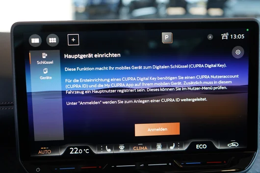 Bild eines CUPRA Born ENDURANCE 79/84 170kW/231PS