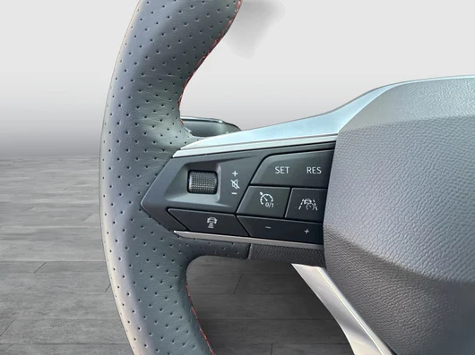 Bild eines Ibiza FR Edition 1.0 TSI