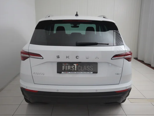 Bild eines Karoq 4x4 Selection TDI DSG