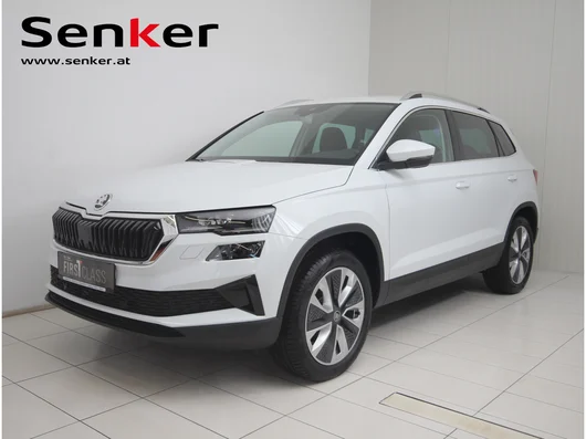 Bild eines Karoq 4x4 Selection TDI DSG
