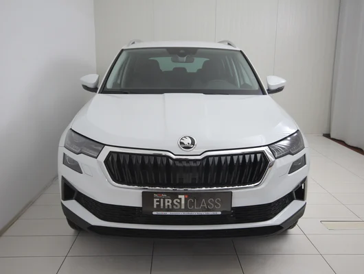 Bild eines Karoq 4x4 Selection TDI DSG