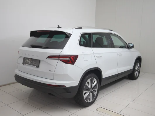 Bild eines Karoq 4x4 Selection TDI DSG