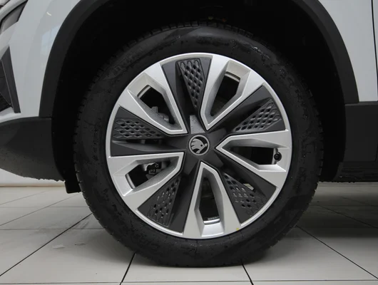 Bild eines Karoq 4x4 Selection TDI DSG