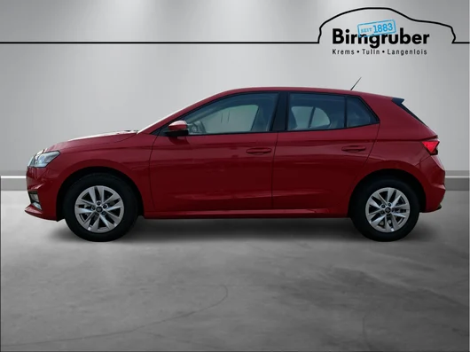 Bild eines Fabia Selection