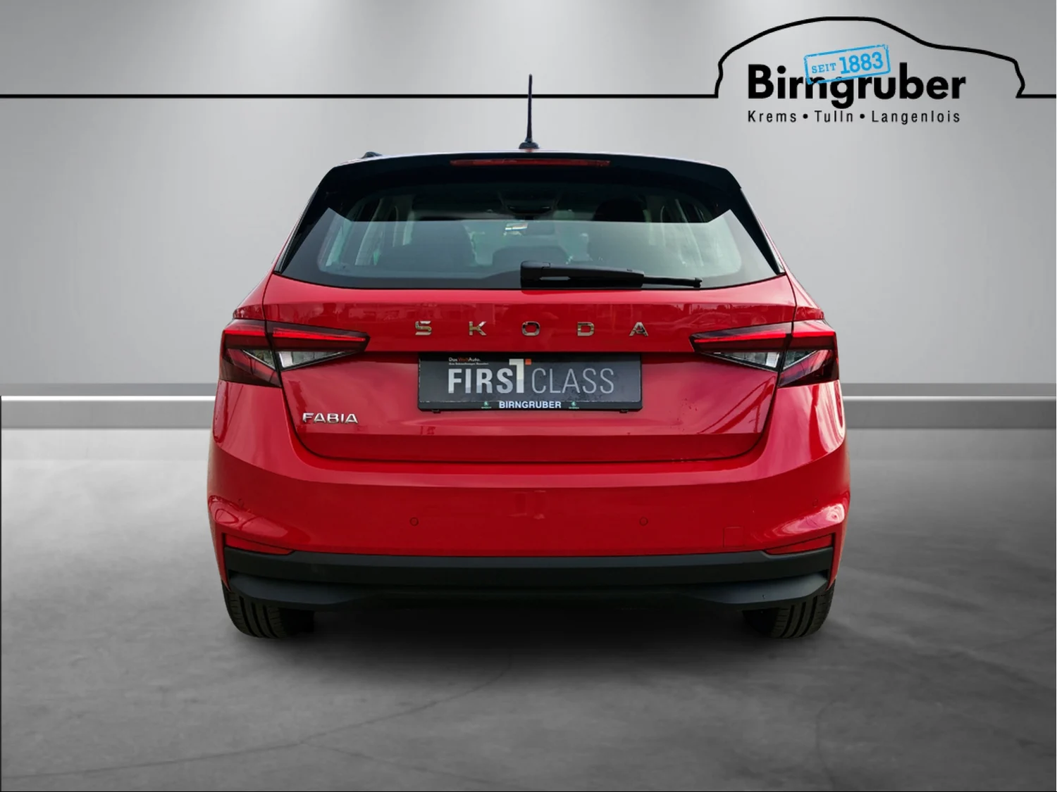 Bild eines Fabia Selection