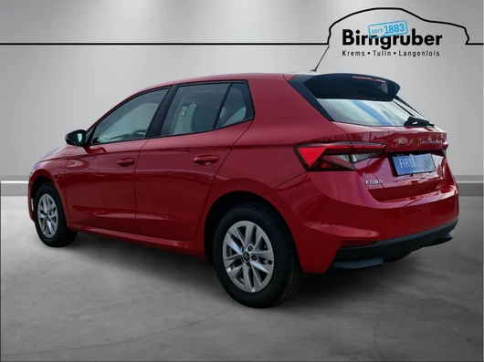 Bild eines Fabia Selection