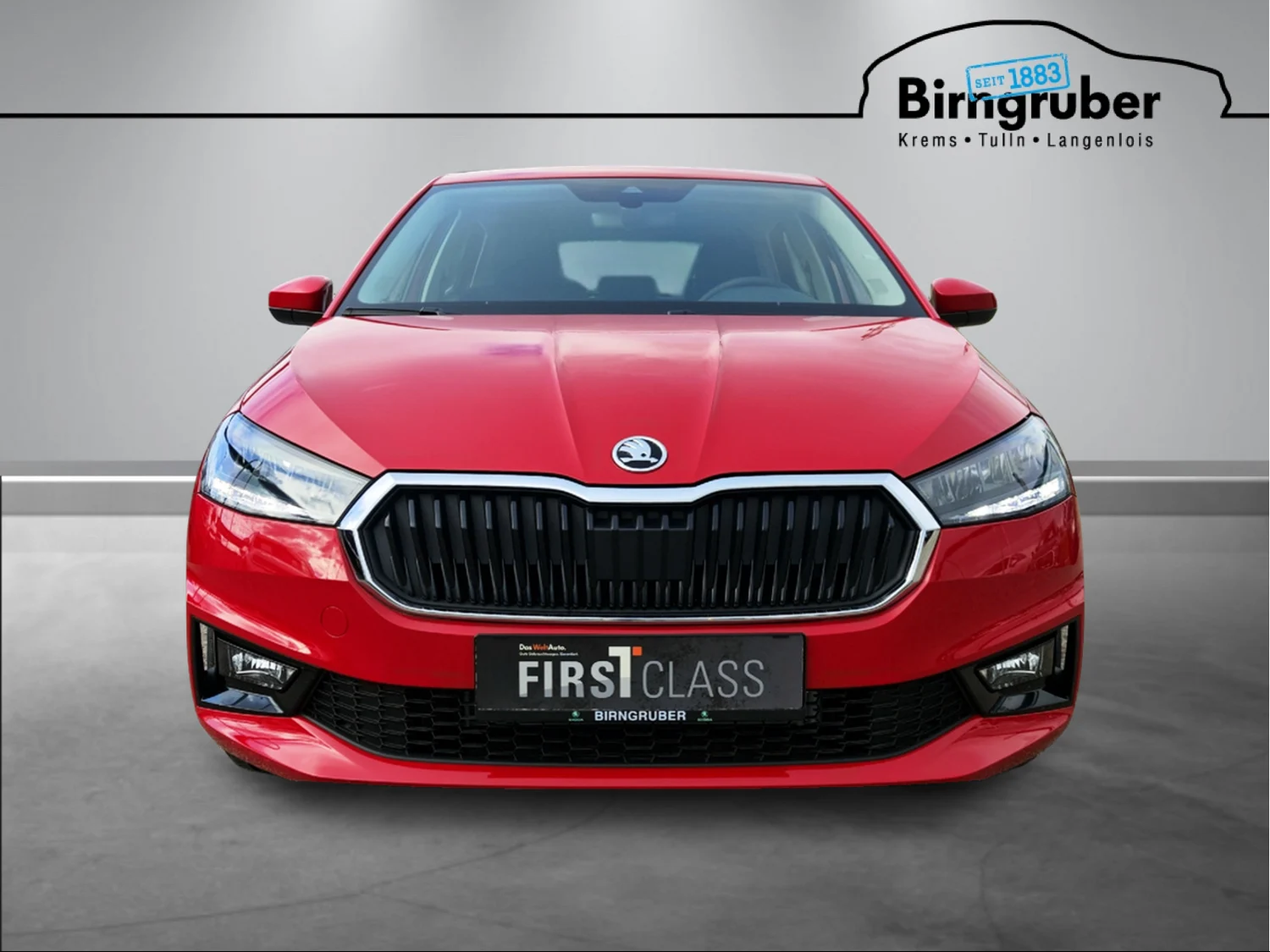 Bild eines Fabia Selection