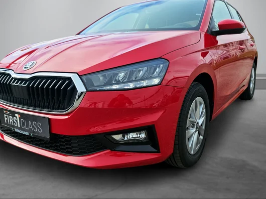 Bild eines Fabia Selection